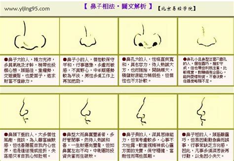 鼻子看面相|十六种鼻子面相图文分析三六风水网